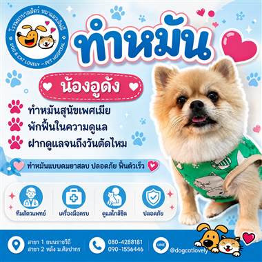 เคสดูแลสัตว์เลี้ยง น้องอูด้ง โรงพยาบาลสัตว์หมาแมวเลิฟลี่ นครปฐม