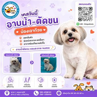 เคสดูแลสัตว์เลี้ยง น้องเฉาก๋วย โรงพยาบาลสัตว์หมาแมวเลิฟลี่ นครปฐม
