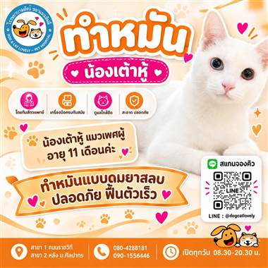 เคสดูแลสัตว์เลี้ยง น้องเต้าหู้ โรงพยาบาลสัตว์หมาแมวเลิฟลี่ นครปฐม