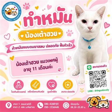 เคสดูแลสัตว์เลี้ยง น้องเต้าฮวย โรงพยาบาลสัตว์หมาแมวเลิฟลี่ นครปฐม