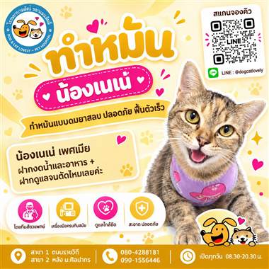 เคสดูแลสัตว์เลี้ยง น้องเนเน่ โรงพยาบาลสัตว์หมาแมวเลิฟลี่ นครปฐม