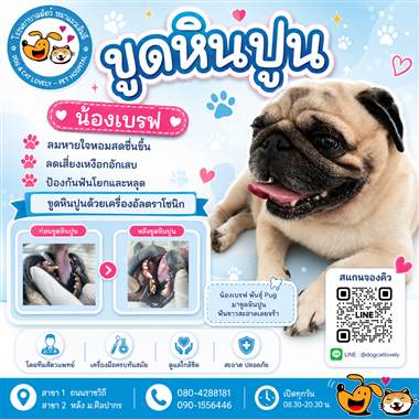 เคสดูแลสัตว์เลี้ยง น้องเบรฟ โรงพยาบาลสัตว์หมาแมวเลิฟลี่ นครปฐม