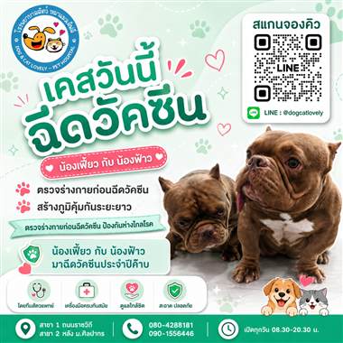 เคสดูแลสัตว์เลี้ยง น้องเฟี้ยวกับน้องฟ้าว โรงพยาบาลสัตว์หมาแมวเลิฟลี่ นครปฐม
