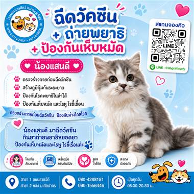 เคสดูแลสัตว์เลี้ยง น้องแสนดี โรงพยาบาลสัตว์หมาแมวเลิฟลี่ นครปฐม