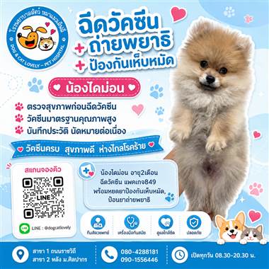 เคสดูแลสัตว์เลี้ยง น้องไดม่อน โรงพยาบาลสัตว์หมาแมวเลิฟลี่ นครปฐม