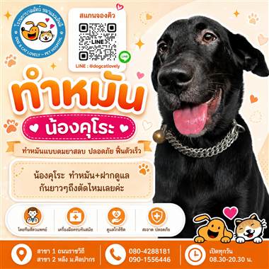 เคสดูแลสัตว์เลี้ยง น้องคุโระ โรงพยาบาลสัตว์หมาแมวเลิฟลี่ นครปฐม