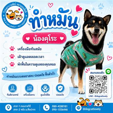 เคสดูแลสัตว์เลี้ยง น้องคุโระ โรงพยาบาลสัตว์หมาแมวเลิฟลี่ นครปฐม