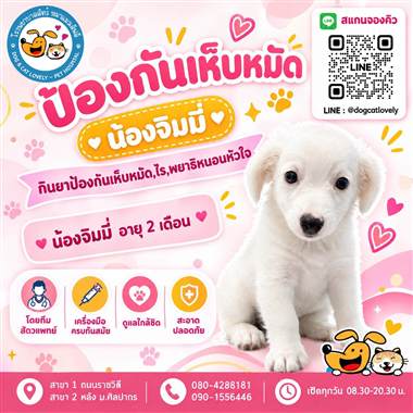 เคสดูแลสัตว์เลี้ยง น้องจิมมี่ โรงพยาบาลสัตว์หมาแมวเลิฟลี่ นครปฐม