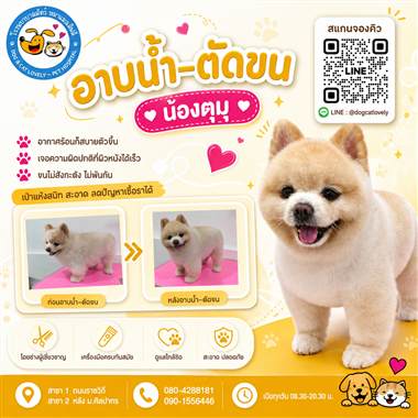 เคสดูแลสัตว์เลี้ยง น้องตุมุ โรงพยาบาลสัตว์หมาแมวเลิฟลี่ นครปฐม