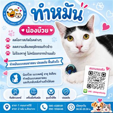 เคสดูแลสัตว์เลี้ยง น้องบ๊วย โรงพยาบาลสัตว์หมาแมวเลิฟลี่ นครปฐม