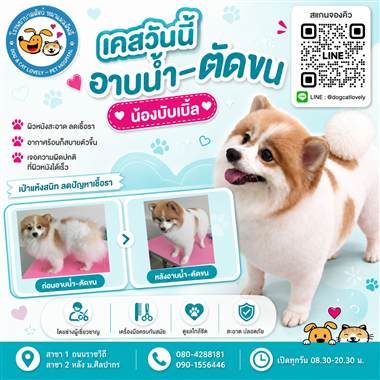 เคสดูแลสัตว์เลี้ยง น้องบับเบิ้ล โรงพยาบาลสัตว์หมาแมวเลิฟลี่ นครปฐม