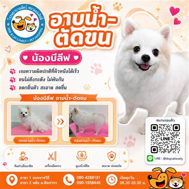 เคสดูแลสัตว์เลี้ยง น้องบีลีฟ โรงพยาบาลสัตว์หมาแมวเลิฟลี่ นครปฐม