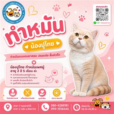 เคสดูแลสัตว์เลี้ยง น้องปูไทย โรงพยาบาลสัตว์หมาแมวเลิฟลี่ นครปฐม