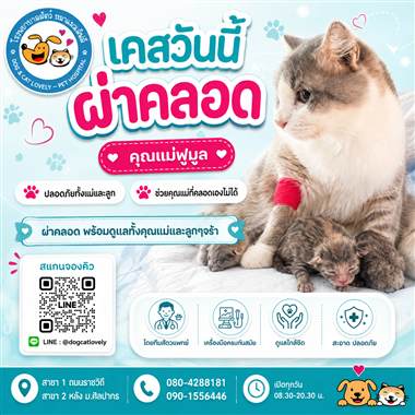 เคสดูแลสัตว์เลี้ยง น้องฟูมูล โรงพยาบาลสัตว์หมาแมวเลิฟลี่ นครปฐม