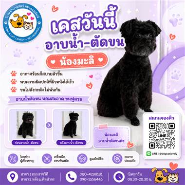 เคสดูแลสัตว์เลี้ยง น้องมะลิ โรงพยาบาลสัตว์หมาแมวเลิฟลี่ นครปฐม