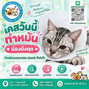 เคสดูแลสัตว์เลี้ยง น้องมังคุด โรงพยาบาลสัตว์หมาแมวเลิฟลี่ นครปฐม