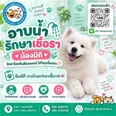 เคสดูแลสัตว์เลี้ยง น้องมิกิ โรงพยาบาลสัตว์หมาแมวเลิฟลี่ นครปฐม