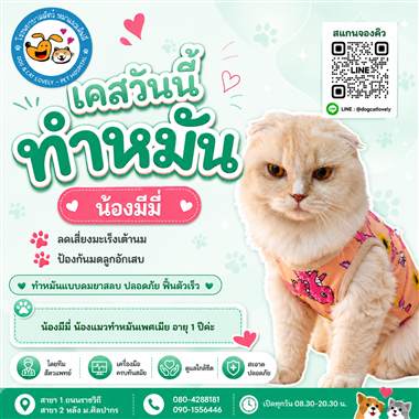 เคสดูแลสัตว์เลี้ยง น้องมีมี่ โรงพยาบาลสัตว์หมาแมวเลิฟลี่ นครปฐม