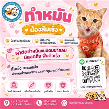 เคสดูแลสัตว์เลี้ยง น้องส้มเช๊ง โรงพยาบาลสัตว์หมาแมวเลิฟลี่ นครปฐม
