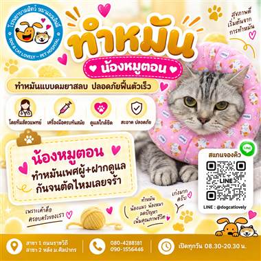 เคสดูแลสัตว์เลี้ยง น้องหมูตอน โรงพยาบาลสัตว์หมาแมวเลิฟลี่ นครปฐม