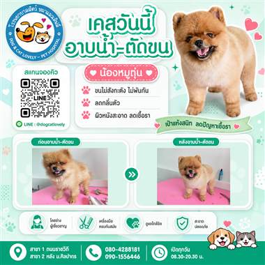 เคสดูแลสัตว์เลี้ยง น้องหมูตุ๋น โรงพยาบาลสัตว์หมาแมวเลิฟลี่ นครปฐม