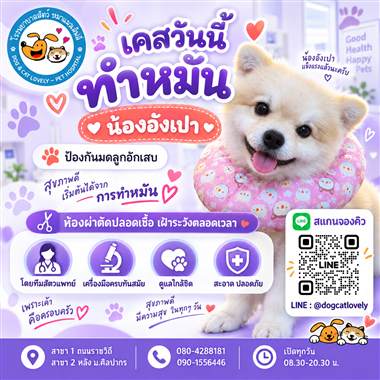 เคสดูแลสัตว์เลี้ยง น้องอังเปา โรงพยาบาลสัตว์หมาแมวเลิฟลี่ นครปฐม