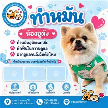 เคสดูแลสัตว์เลี้ยง น้องอูด้ง โรงพยาบาลสัตว์หมาแมวเลิฟลี่ นครปฐม