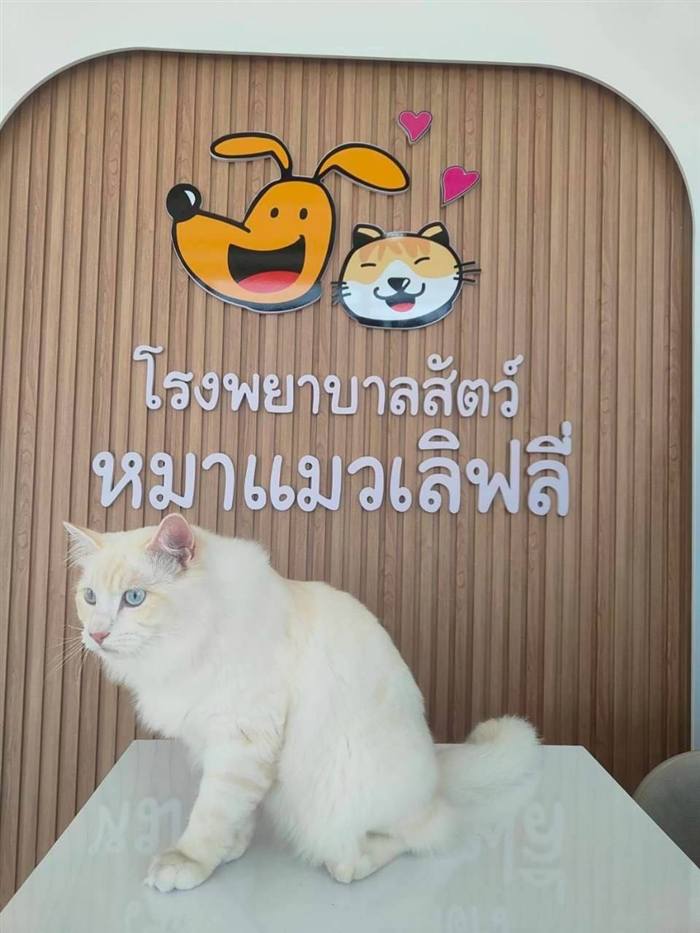 โลโก้โรงพยาบาลสัตว์หมาแมวเลิฟลี่