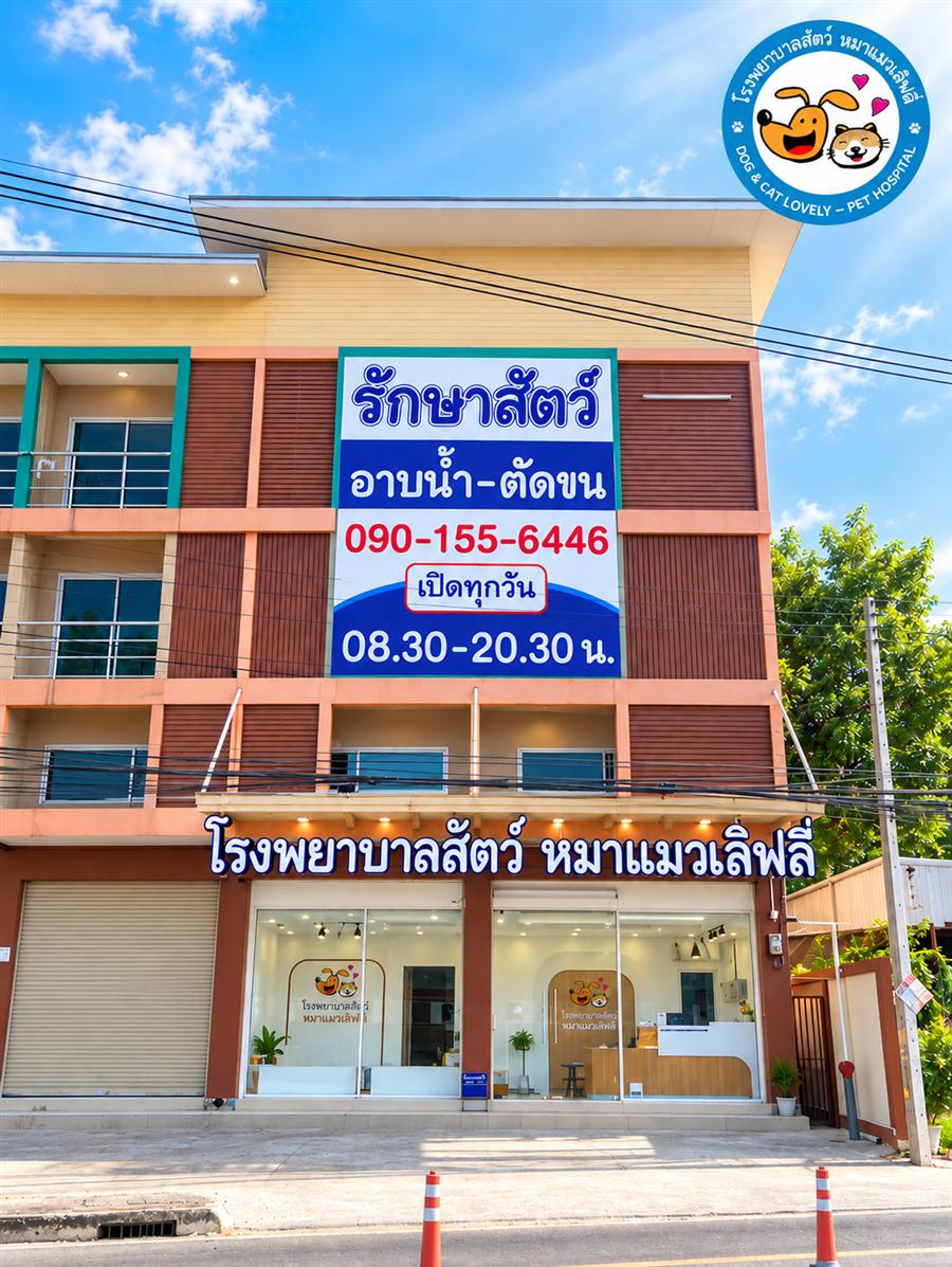 โรงพยาบาลสัตว์หมาแมวเลิฟลี่ หน้าร้านสาขาหลัง ม.ศิลปากร นครปฐม เปิดทุกวัน 08.30-20.30 น.
