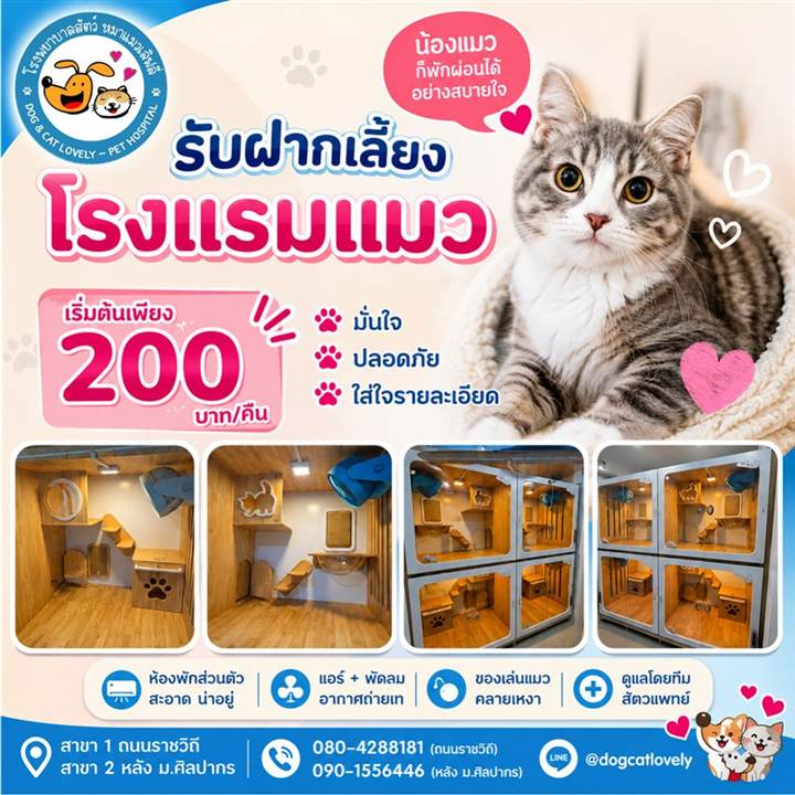 โรงแรมแมว ฝากเลี้ยงแมว นครปฐม ราคาเริ่มต้น 200 บาทต่อคืน