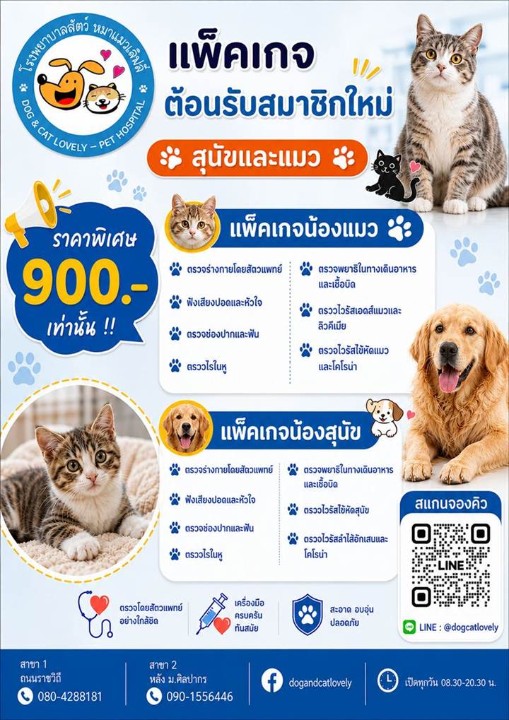 แพ็กเกจต้อนรับสมาชิกใหม่ ตรวจสุขภาพลูกสุนัขลูกแมว 900 บาท นครปฐม