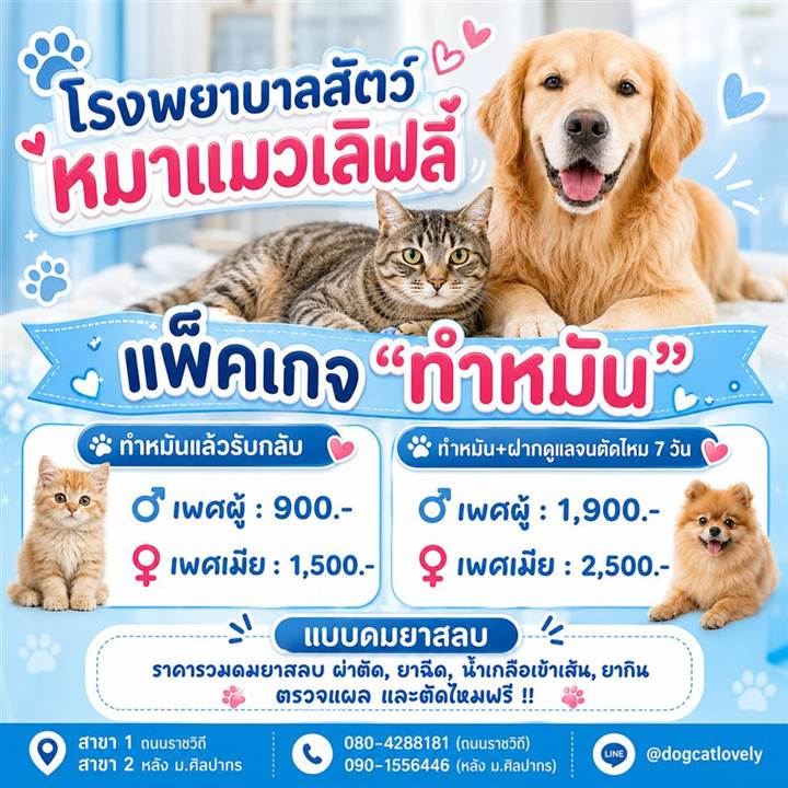 แพ็กเกจทำหมันสุนัขและแมว ราคา โรงพยาบาลสัตว์หมาแมวเลิฟลี่ นครปฐม
